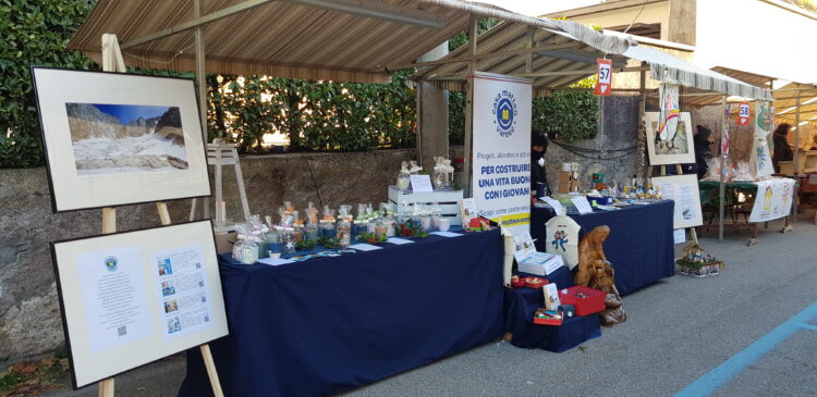 “Luci, profumi e colori del Natale a Casbeno”: le donazioni raccolte.